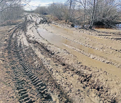 Рыб_15.04.2022-2.jpg