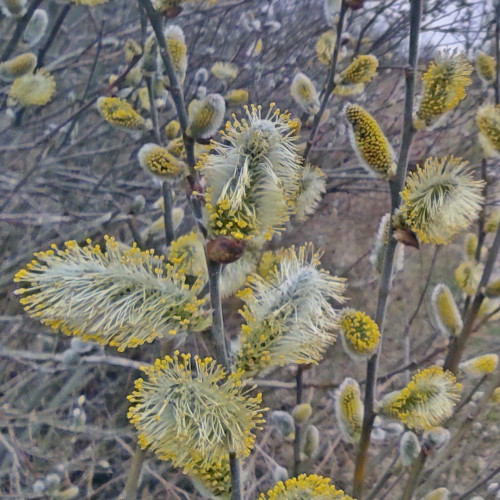 Рыб_18.04.2022-3.jpg