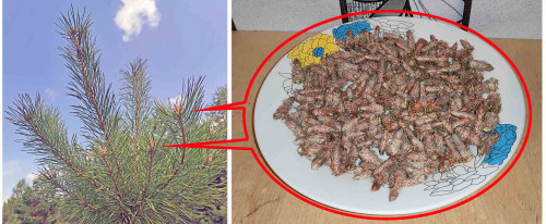 Рыб_25.04.2022-1.jpg