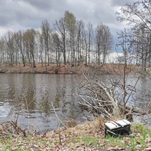 Рыб_25.04.2022-3.jpg