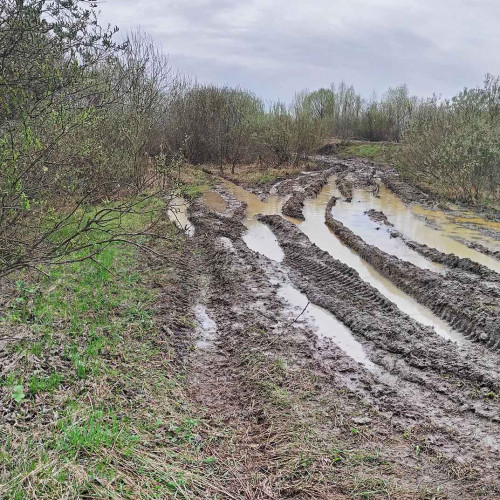 Рыб_25.04.2022-1.jpg