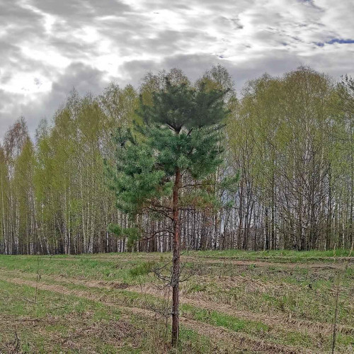 Рыб_30.04.2022-1.jpg