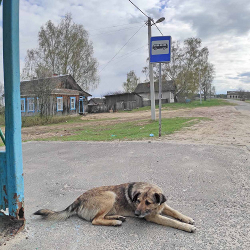 Рыб_30.04.2022-4.jpg