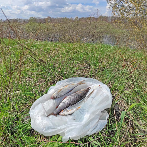 Рыб_03.05.2022-3.jpg