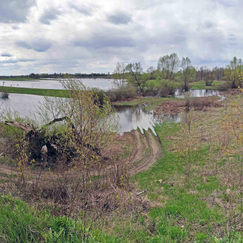 Рыб_05.05.2022-2.jpg