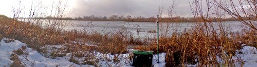 Shmrsk_07122011-1.jpg