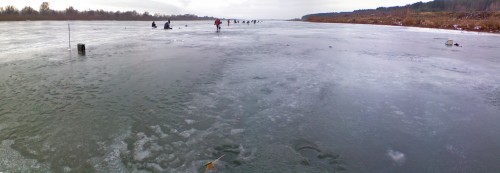 Shmrsk_07122011-2.jpg