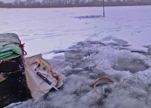 Shmrsk_09122011-2.jpg