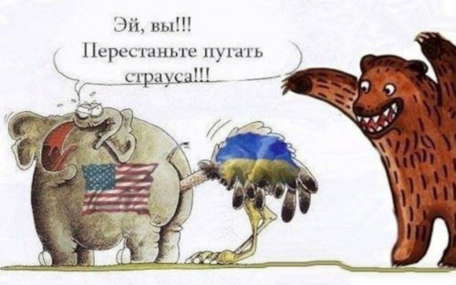 7_20-20-59.jpg