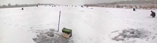 Shmrsk_11122011-1.jpg