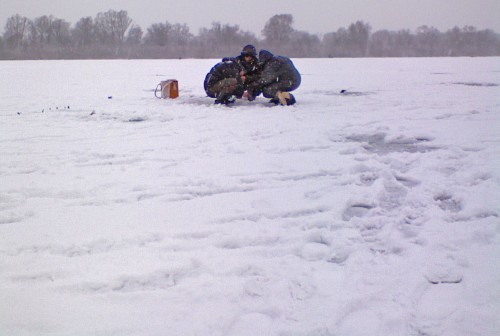 Shmrsk_11122011-2.jpg