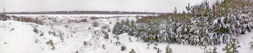 Shmrsk_13122011-1a.jpg