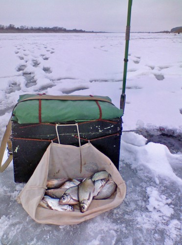 Shmrsk_13122011-2.jpg
