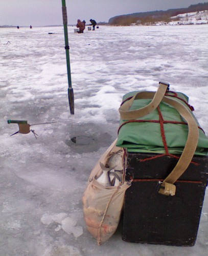 Shmrsk_15122011-1.jpg