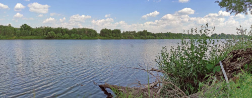 Les_27.06.2022-1.jpg