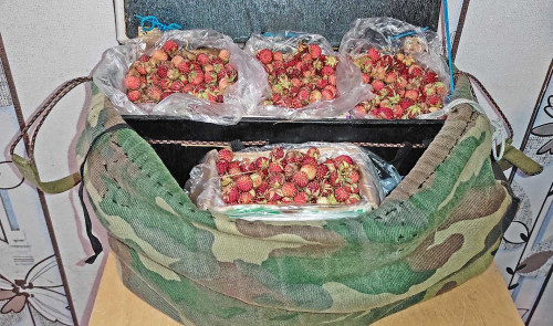 Les_16.07.2022-2.jpg