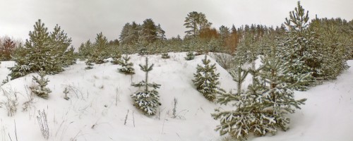 Les_21122011.jpg