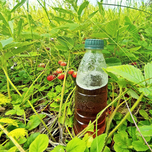 Les_24.07.2022-1.jpg