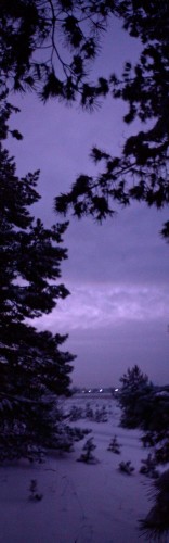 oSvjto_24122011-1.jpg