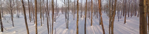 oSvjto_24122011-2a.jpg
