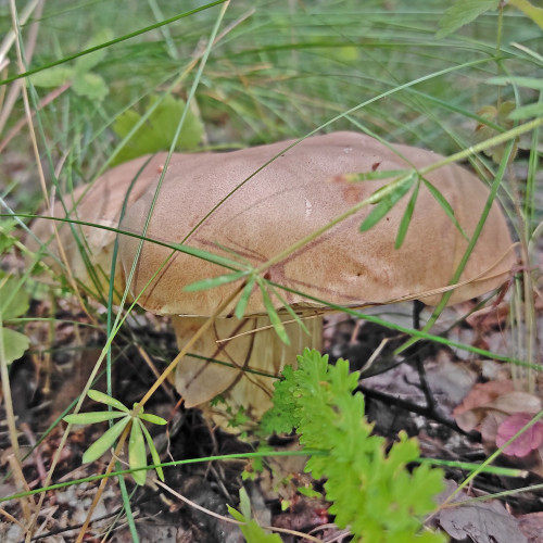 Les_02.08.2022-5.jpg