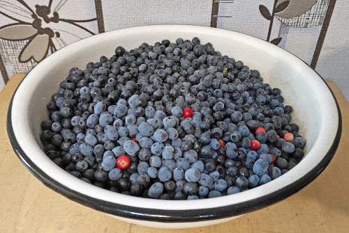 Les_04.08.2022-4.jpg