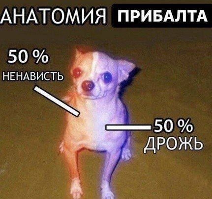 3-57-58.jpg