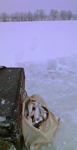 ozSvjato_02012012-2.jpg