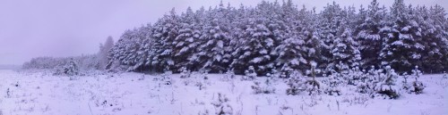 N-Vereja_02012012-1.jpg