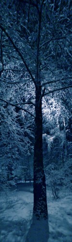 Noch_Sneg_02012011-2a.jpg