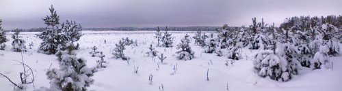 Les_04012012-2.jpg