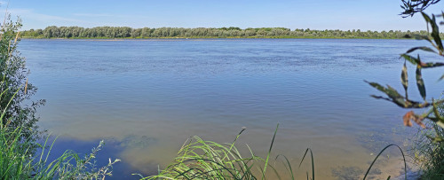 Les_17.08.2022-2.jpg