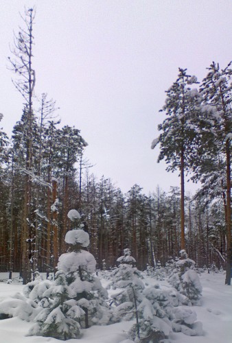Les_04012012-1.jpg