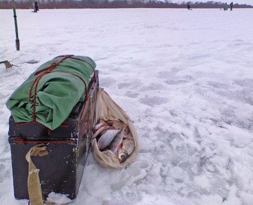 Shmrsk_09012011.jpg