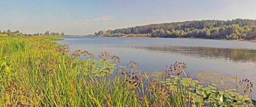 Les_30.08.2022-2.jpg
