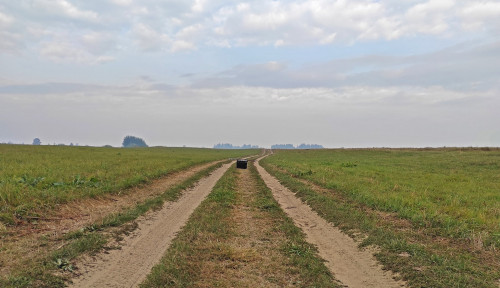Les_04.09.2022-1.jpg