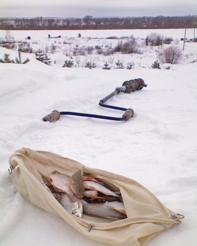 Shmrsk_12012012-2a.jpg