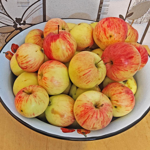 Les_15.09.2022-3.jpg
