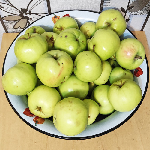 Les_17.09.2022-3.jpg