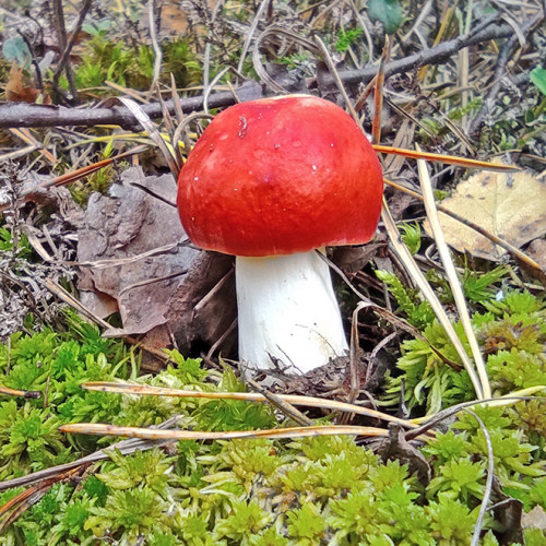 Les_20.09.2022-2.jpg