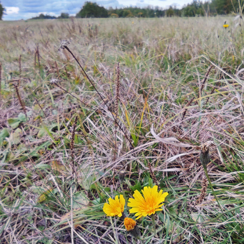 Les_27.09.2022-2.jpg