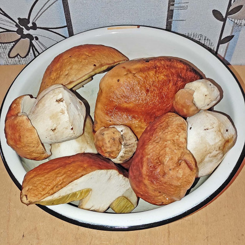 Les_30.09.2022-1.jpg