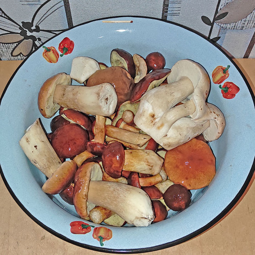 Les_02.10.2022-3.jpg