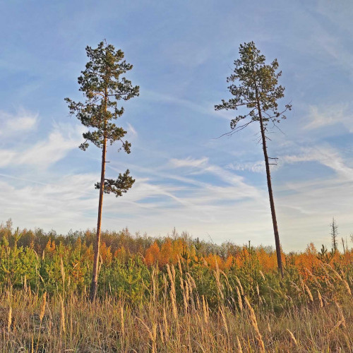 Les_17.10.2022-1.jpg