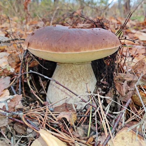 Les_20.10.2022-1.jpg