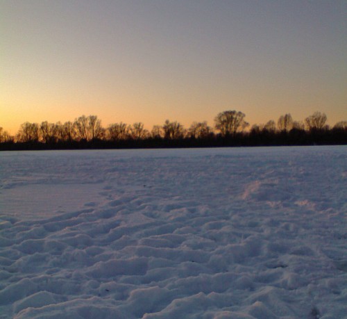Shmrsk_24012012-3.jpg