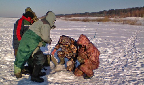 Shmrsk_27012012-2.jpg