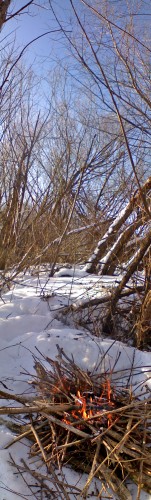 Shmrsk_29012012-5.jpg