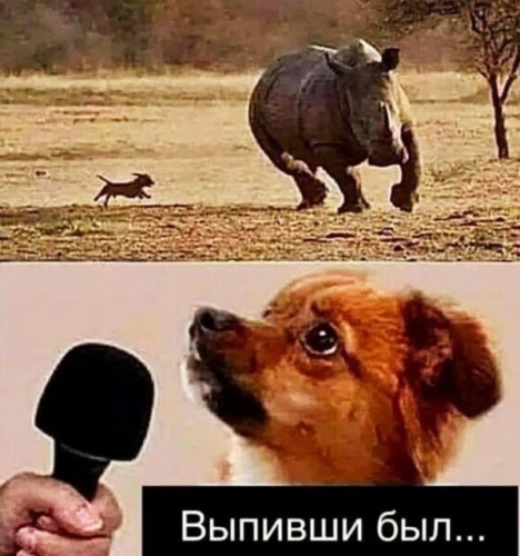 ZMgTp.jpg