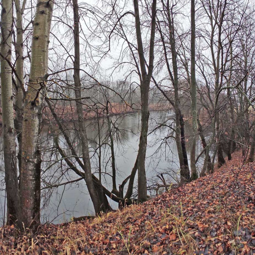 Les_08.11.2022-1.jpg